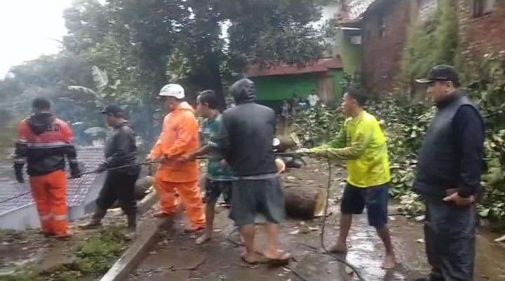 Hujan Deras dan Angin Kencang, Tumbangkan Pohon di Pemukiman Warga Kota Wetan Garut Kota
